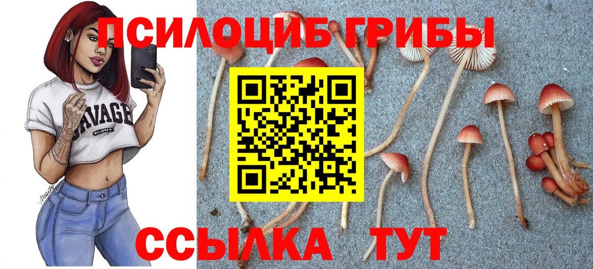 купить  сайты  Вход с VPN  Артёмовский  Псилоцибиновые грибы мухоморы 